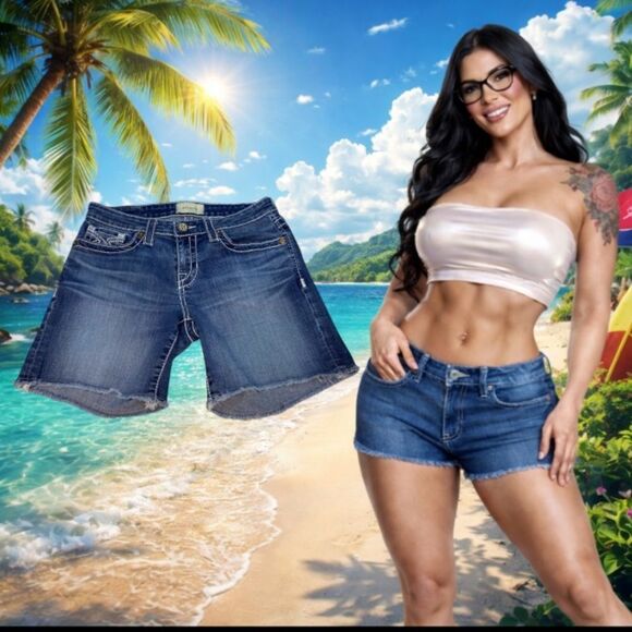 Big Star Stretch Denim Shorts Women’s Size 27 EUC - Picture 2 of 10
